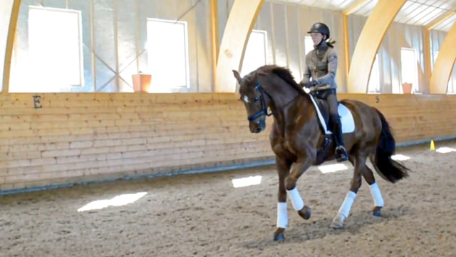 Förvänd galopp