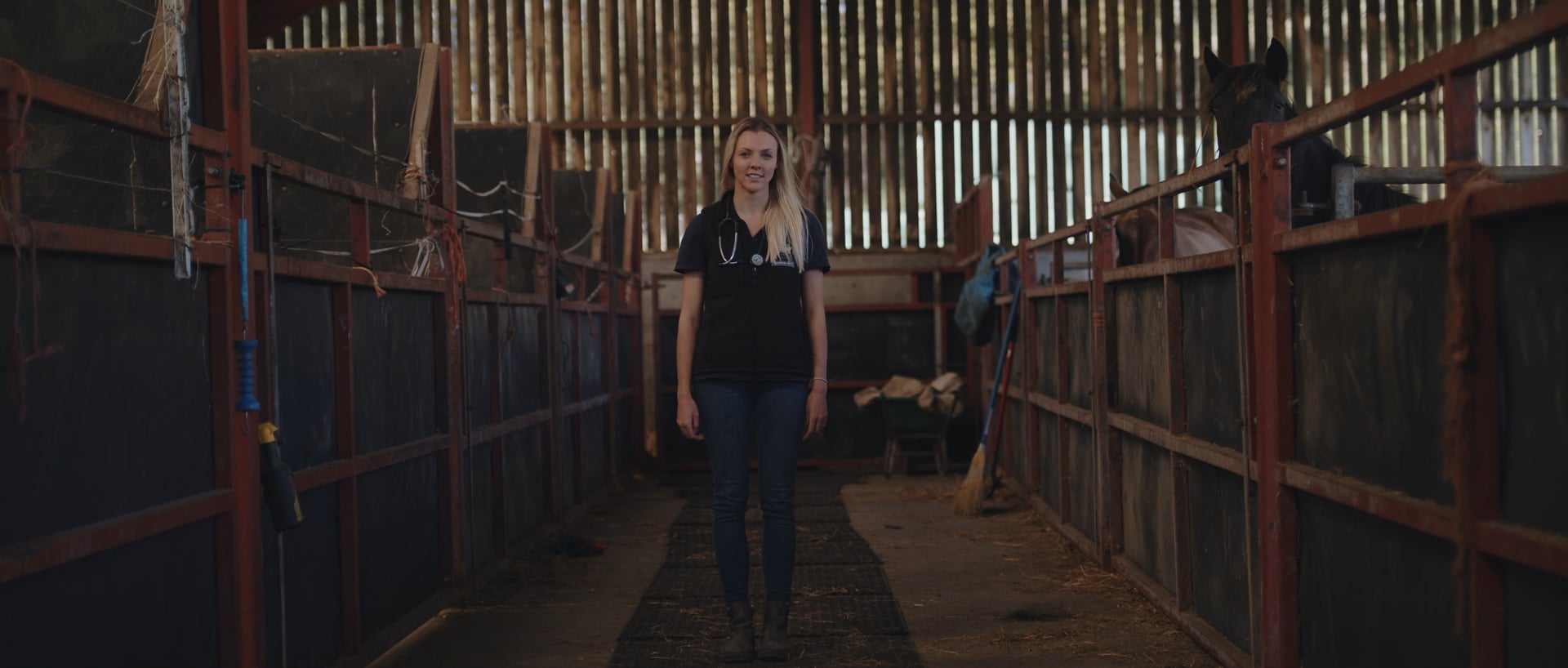 Welsh Veterinary Film