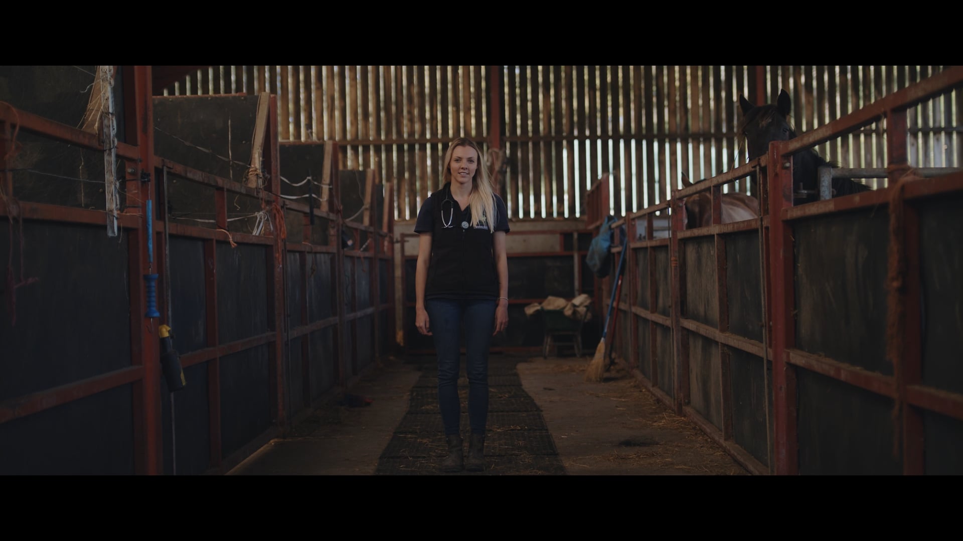 Welsh Veterinary Film