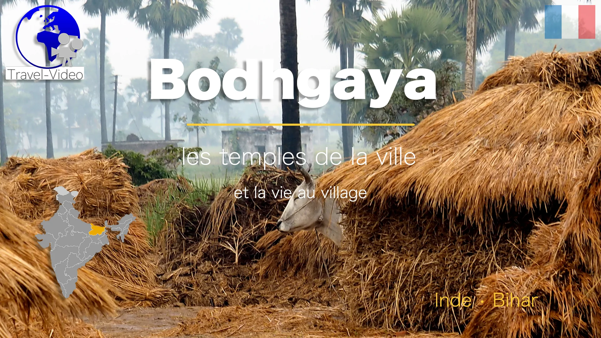 Bodhgaya, les temples de la ville et la vie au village • Bihar, Inde (FR)