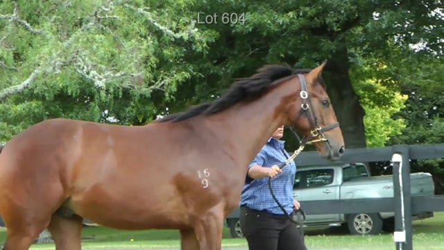 Lot 604