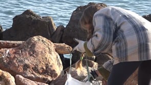 La brigada del Salabret neteja l'entorn de la platja del Riuet