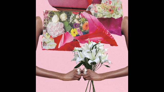 Vimeo Thumbnail (API)