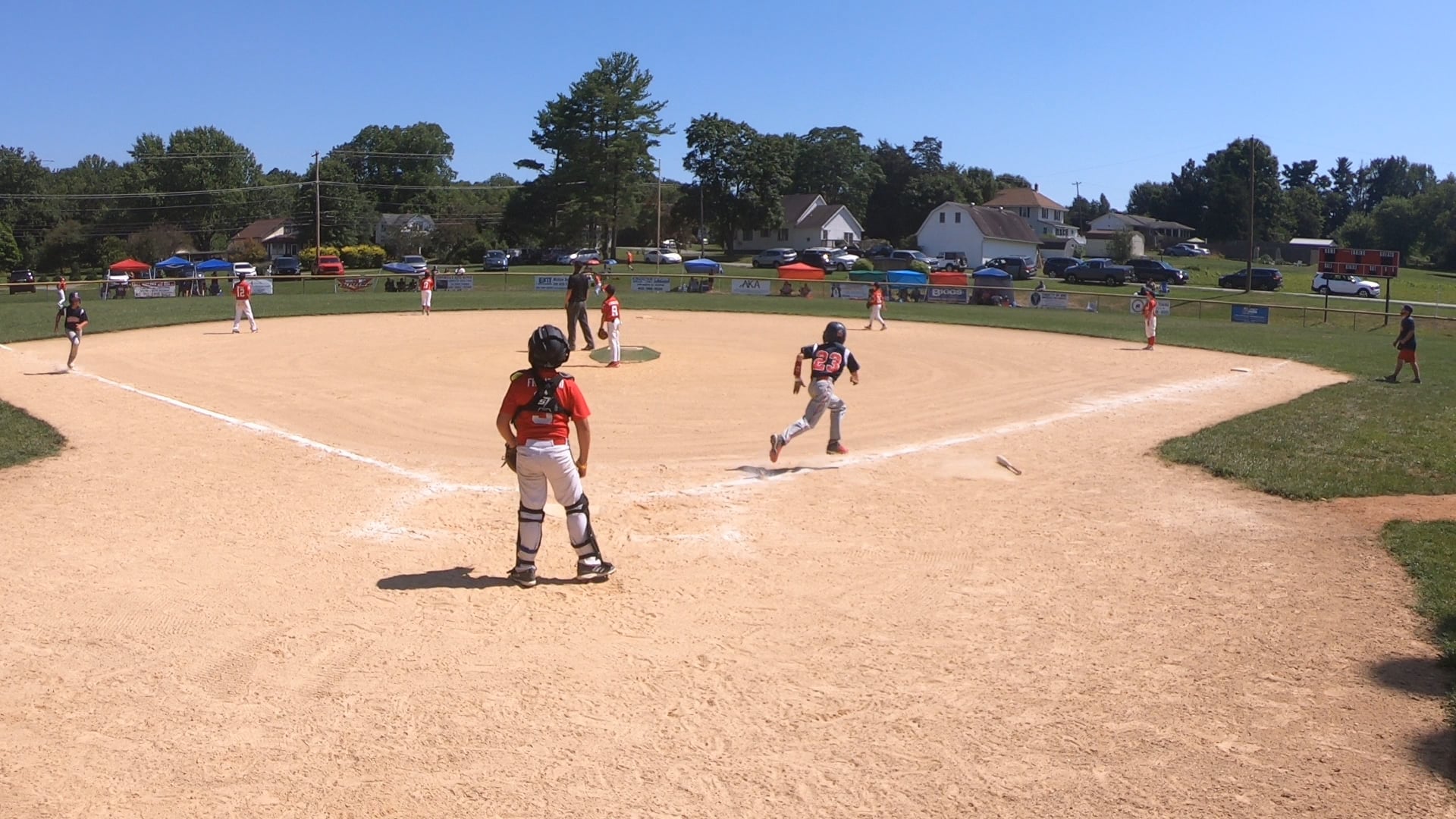 Little League Tournament Rules Bunting