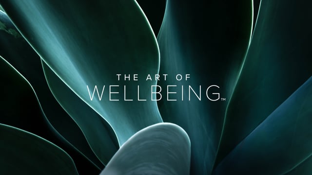 The Art Of Wellbeing On Vimeo
