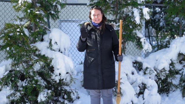 What to Do About Snow On Your Arborvitae