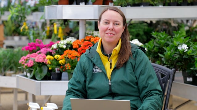 Houseplant Rx – Common Houseplant Problems and How To Fix Them