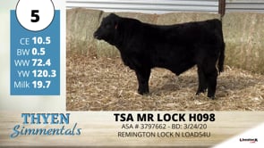 Lot #5 - TSA MR LOCK H098