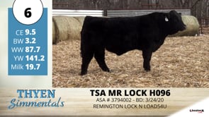 Lot #6 - TSA MR LOCK H096