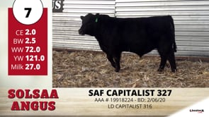 Lot #7 - SAF CAPITALIST 327