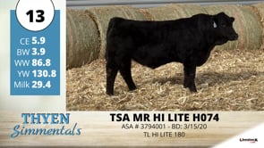 Lot #13 - TSA MR HI LITE H074