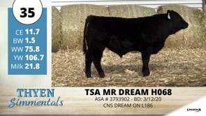 Lot #35 - TSA MR DREAM H068