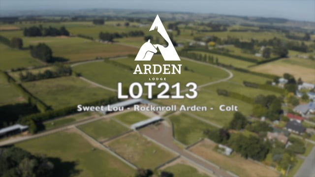 Lot 213