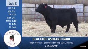 Lot #3 - BLACKTOP ASHLAND 0688