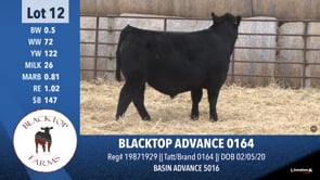 Lot #12 - BLACKTOP ADVANCE 0164