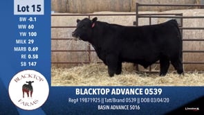 Lot #15 - BLACKTOP ADVANCE 0539