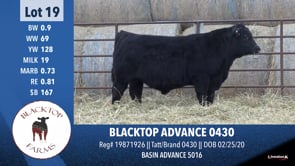 Lot #19 - BLACKTOP ADVANCE 0430