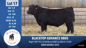 Lot #17 - BLACKTOP ADVANCE 0805