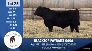 Lot #25 - BLACKTOP PAYRAISE 0606