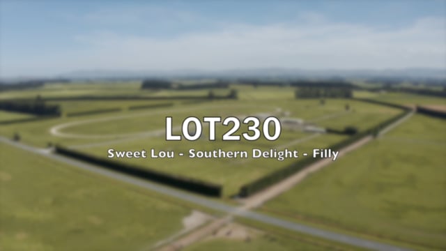 Lot 230