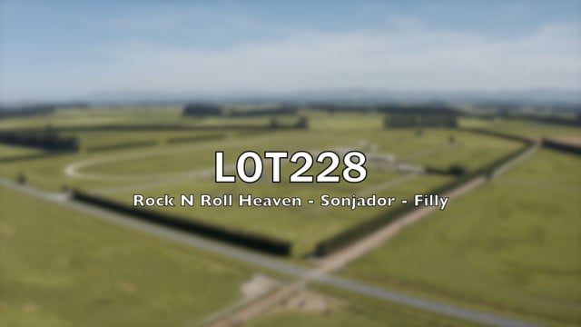 Lot 228