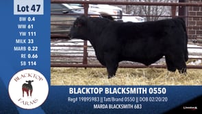 Lot #47 - BLACKTOP BLACKSMITH 0550