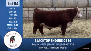 Lot #54 - BLACKTOP ENDURE 0514