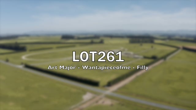 Lot 261