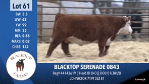 Lot #61 - BLACKTOP SERENADE 0843