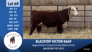 Lot #60 - BLACKTOP VICTOR 0669
