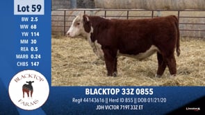Lot #59 - BLACKTOP 33Z 0855