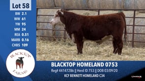 Lot #58 - BLACKTOP HOMELAND 0753