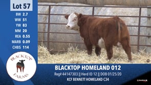 Lot #57 - BLACKTOP HOMELAND 012