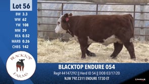 Lot #56 - BLACKTOP ENDURE 054