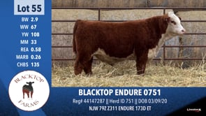 Lot #55 - BLACKTOP ENDURE 0751