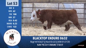 Lot #53 - BLACKTOP ENDURE 0632