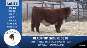 Lot #52 - BLACKTOP ENDURE 0338