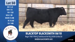 Lot #50 - BLACKTOP BLACKSMITH 0618