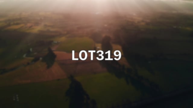 Lot 319