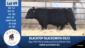 Lot #49 - BLACKTOP BLACKSMITH 0523
