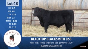 Lot #48 - BLACKTOP BLACKSMITH 068