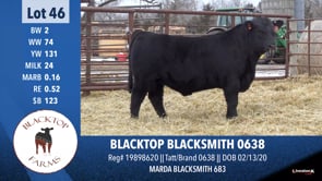 Lot #46 - BLACKTOP BLACKSMITH 0638