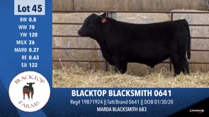 Lot #45 - BLACKTOP BLACKSMITH 0641
