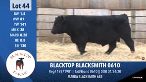 Lot #44 - BLACKTOP BLACKSMITH 0610