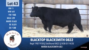 Lot #43 - BLACKTOP BLACKSMITH 0822