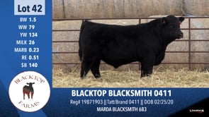 Lot #42 - BLACKTOP BLACKSMITH 0411