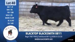 Lot #40 - BLACKTOP BLACKSMITH 0811