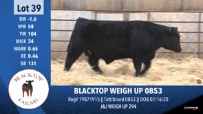 Lot #39 - BLACKTOP WEIGH UP 0853