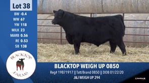 Lot #38 - BLACKTOP WEIGH UP 0534