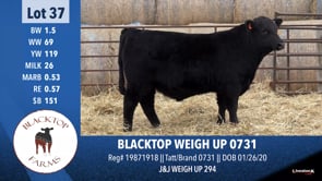 Lot #37 - BLACKTOP WEIGH UP 0731